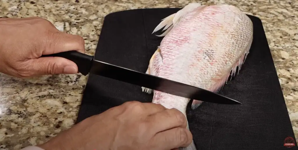 Red Snapper for Southern Fried Fish