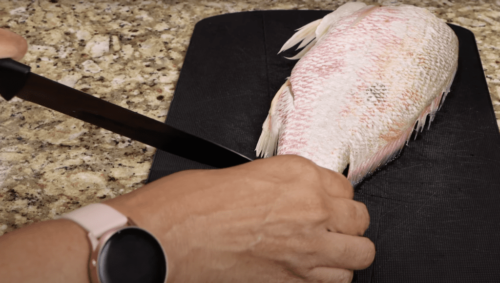 southern fried fish recipe
red snapper 