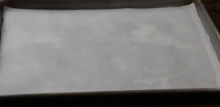 Baking Pan with Parchment paper